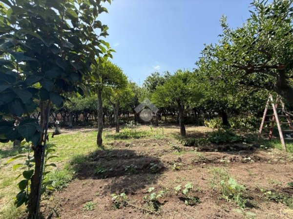 terreno agricolo in vendita ad Angri