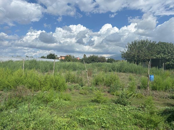 terreno agricolo in vendita ad Angri