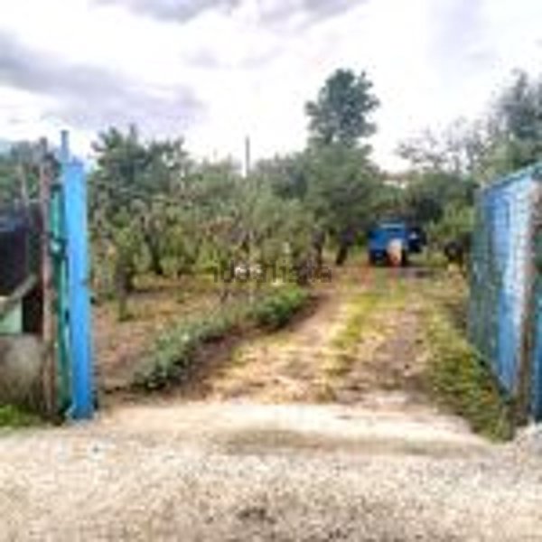 terreno agricolo in vendita ad Angri
