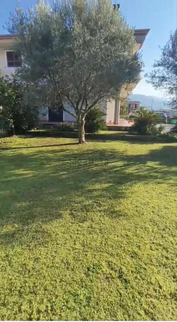 pentavano in vendita ad Angri