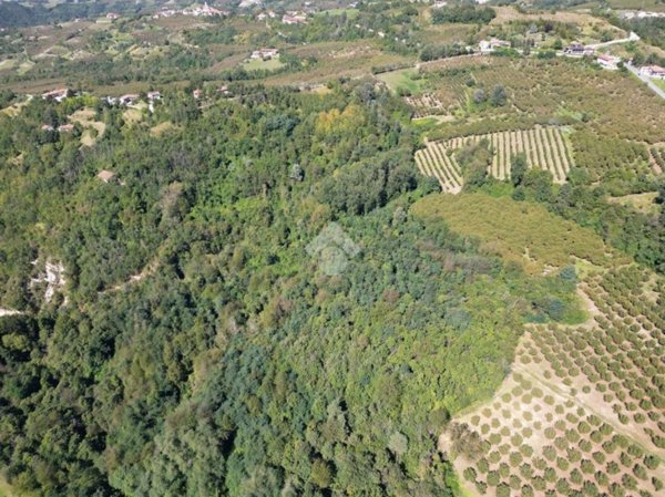 terreno agricolo in vendita a Cerretto Langhe