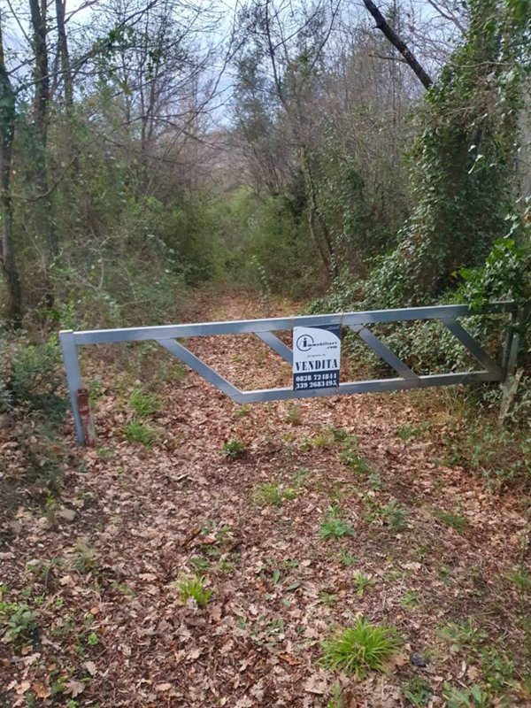 terreno agricolo in vendita ad Aquara