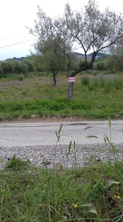 terreno agricolo in vendita ad Aquara
