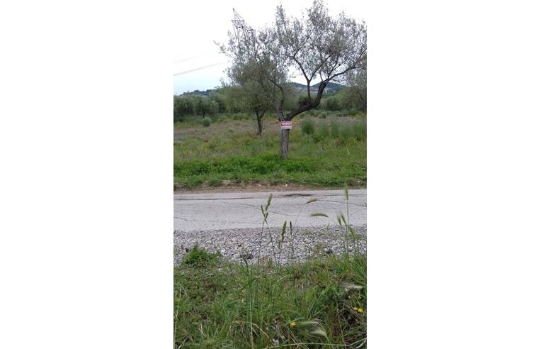 terreno agricolo in vendita ad Aquara