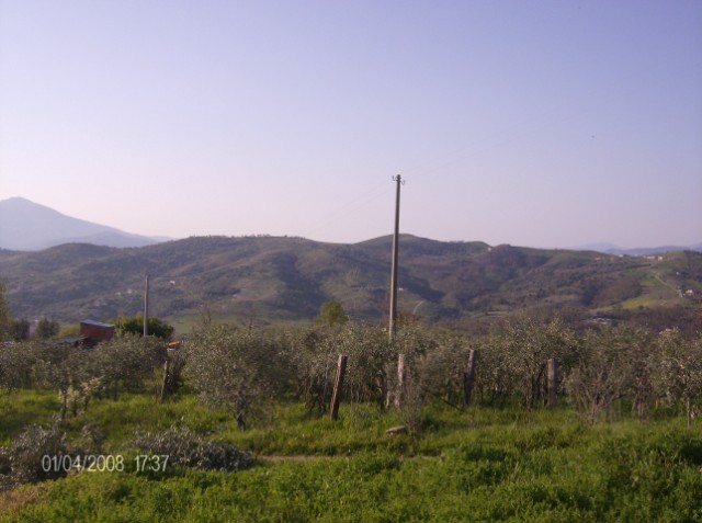 terreno agricolo in vendita ad Ascea