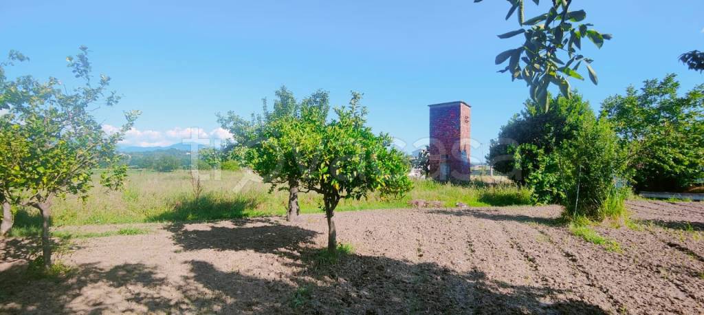 terreno agricolo in vendita ad Ascea