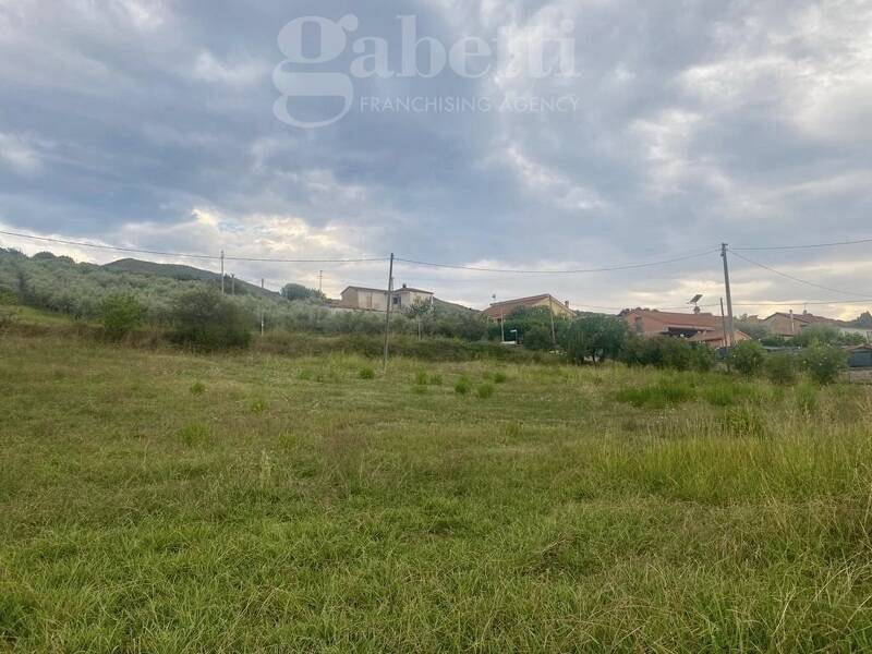 terreno agricolo in vendita ad Ascea