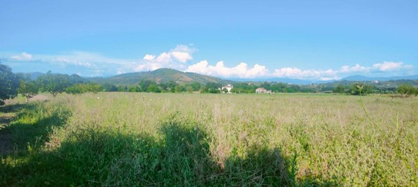 terreno agricolo in vendita ad Ascea