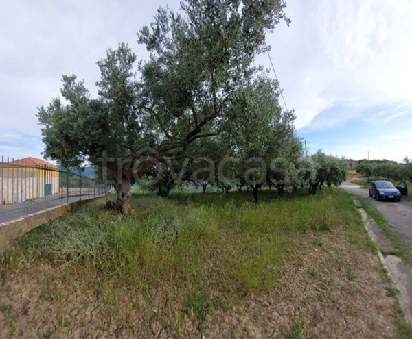 terreno agricolo in vendita ad Ascea in zona Marina di Ascea