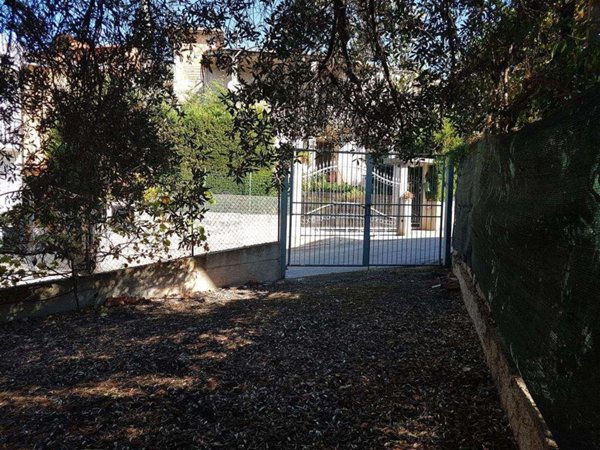 terreno agricolo in vendita ad Ascea
