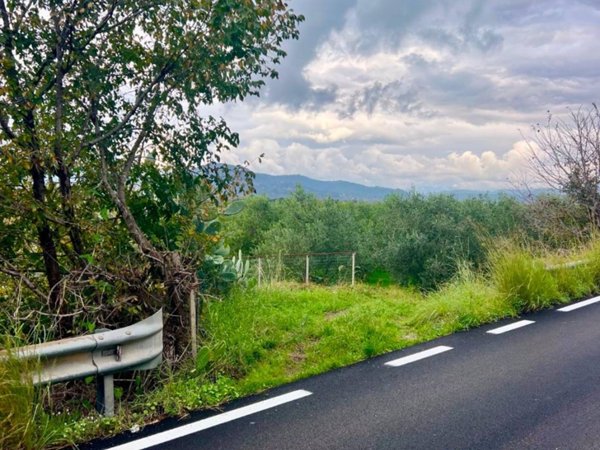 terreno agricolo in vendita ad Ascea