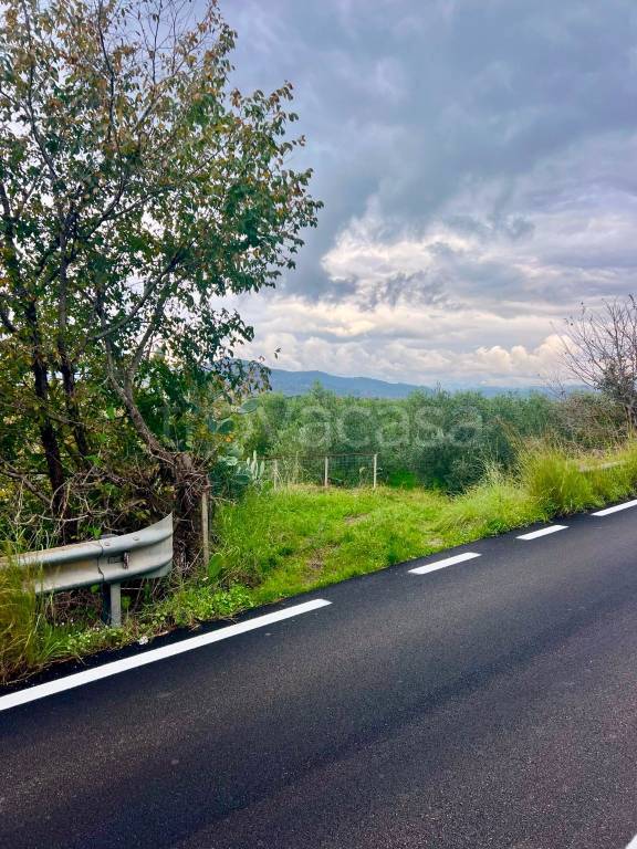 terreno agricolo in vendita ad Ascea