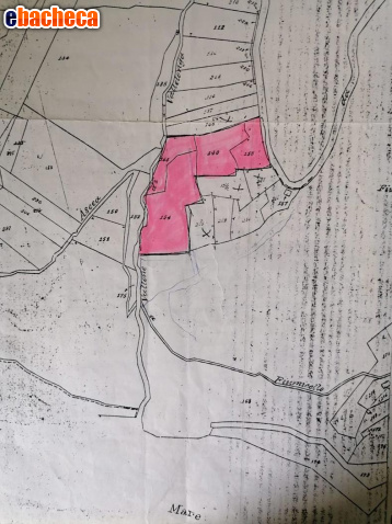 terreno agricolo in vendita ad Ascea