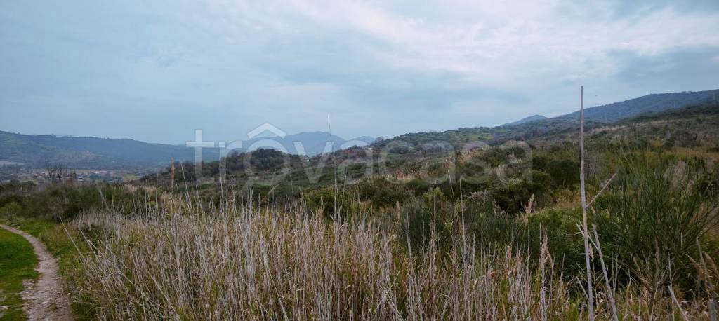 terreno agricolo in vendita ad Ascea