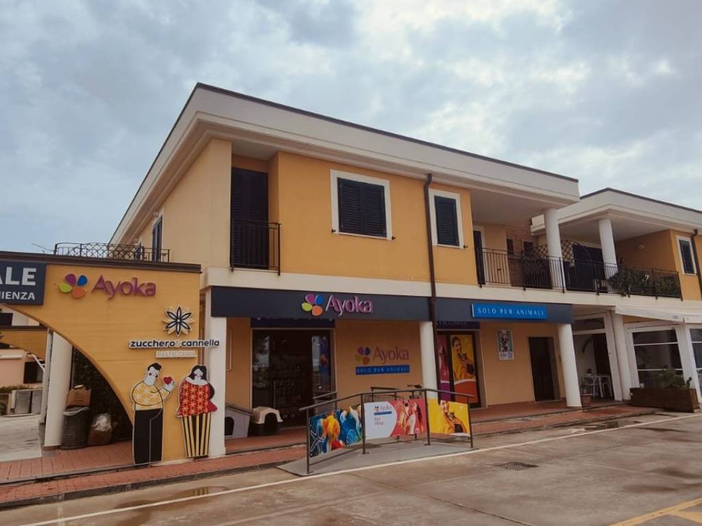 appartamento in vendita ad Ascea