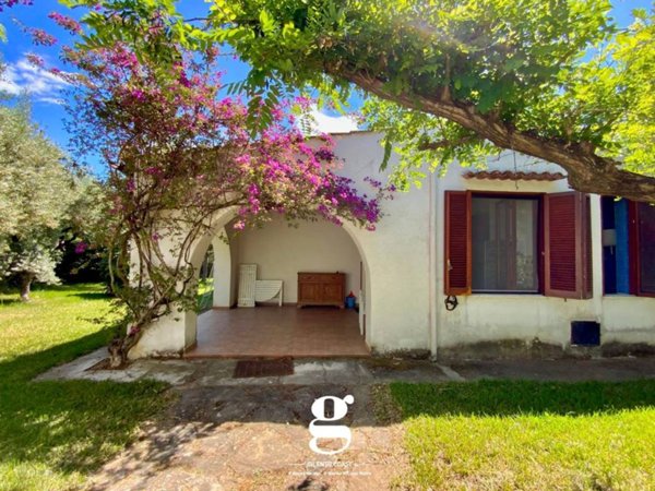 casa indipendente in vendita ad Ascea