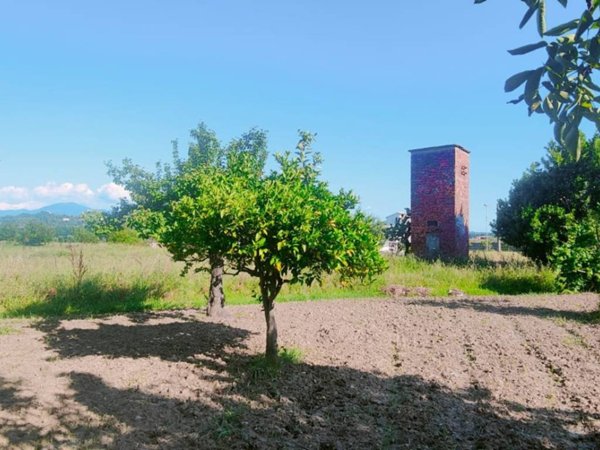 terreno agricolo in vendita ad Ascea