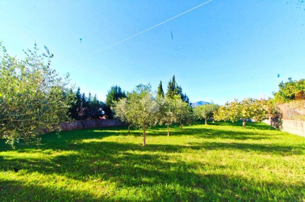 appartamento in vendita ad Ascea