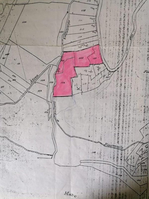 terreno agricolo in vendita ad Ascea