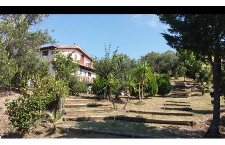 casa indipendente in vendita ad Ascea