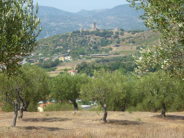 terreno edificabile in vendita ad Ascea