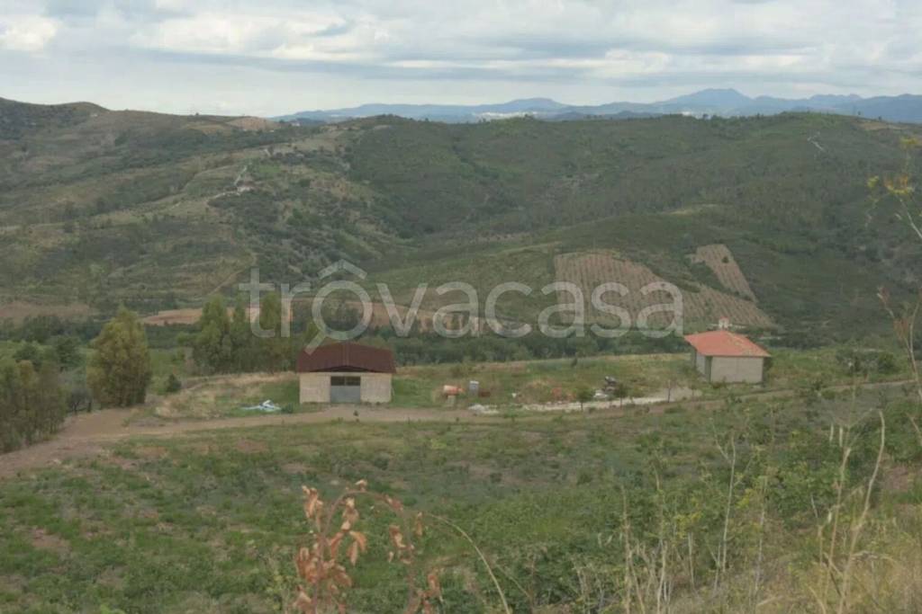 azienda agricola in vendita ad Ascea