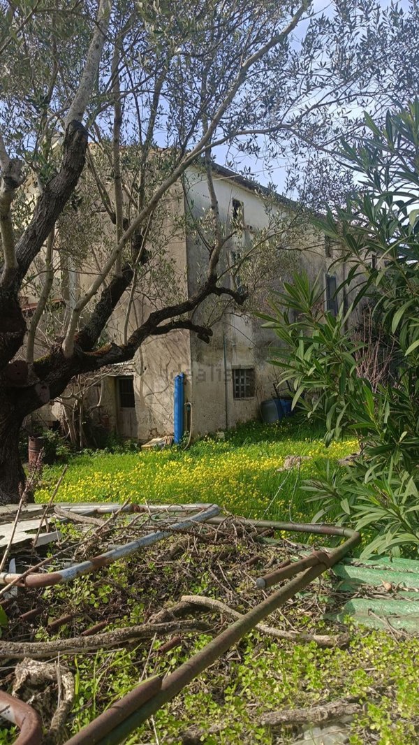 casale in vendita ad Ascea