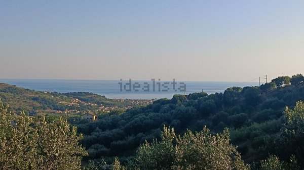 terreno agricolo in vendita ad Ascea