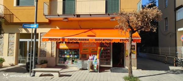 negozio in vendita ad Ascea in zona Marina di Ascea