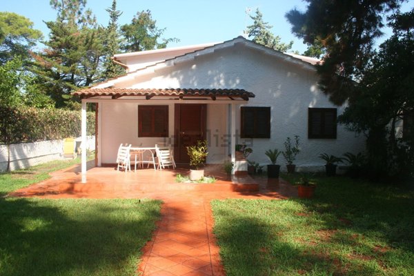 esavano in vendita ad Ascea