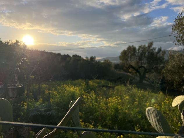 terreno agricolo in vendita ad Ascea