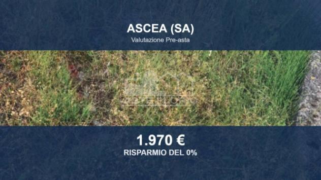 terreno edificabile in vendita ad Ascea