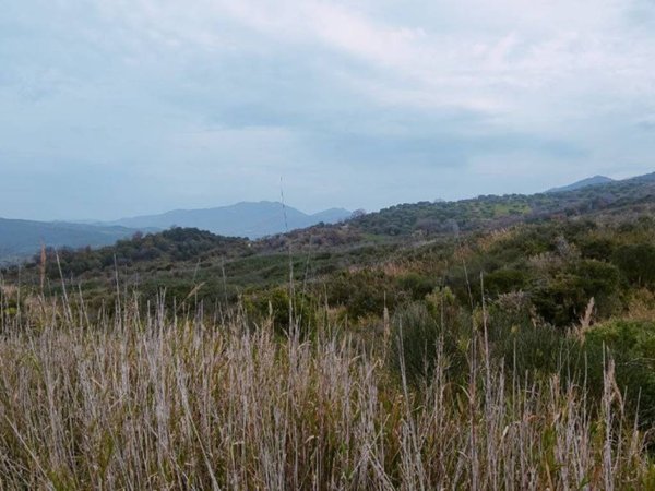 terreno agricolo in vendita ad Ascea in zona Stanpella