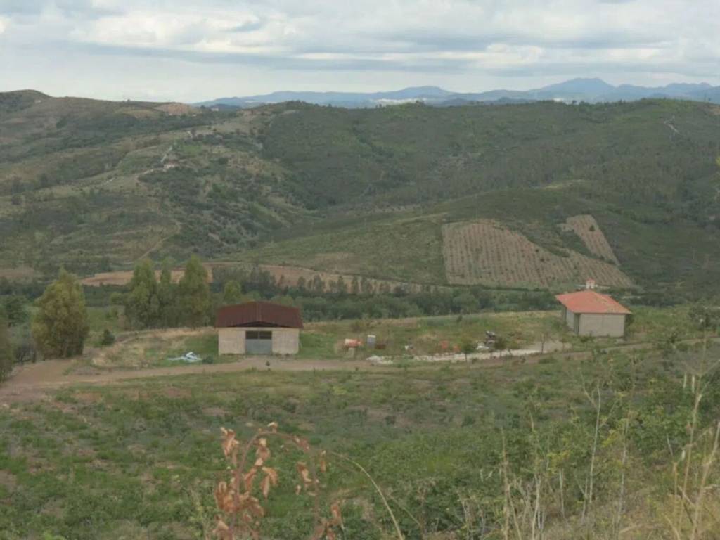 terreno agricolo in vendita ad Ascea in zona Stanpella