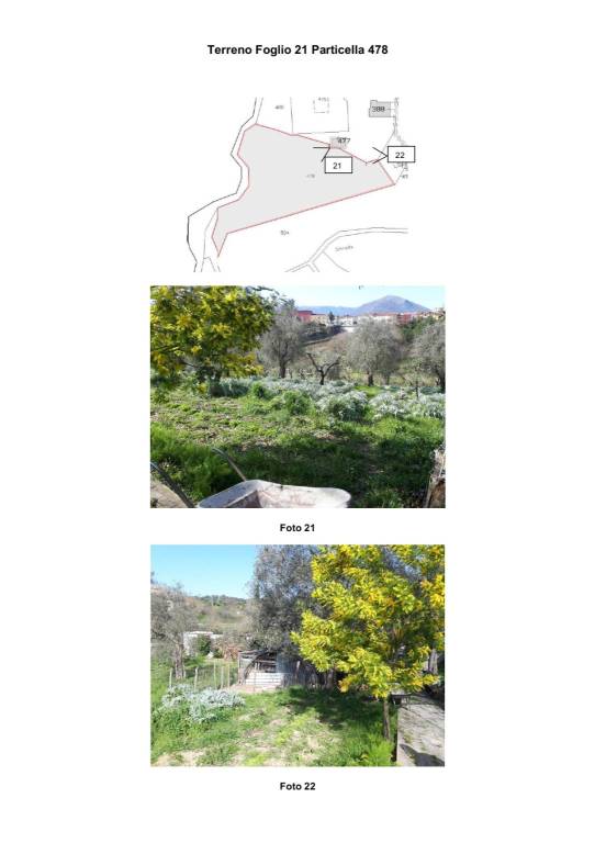 terreno agricolo in vendita ad Auletta
