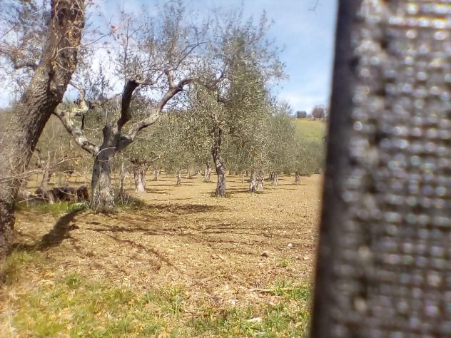 terreno agricolo in vendita ad Auletta