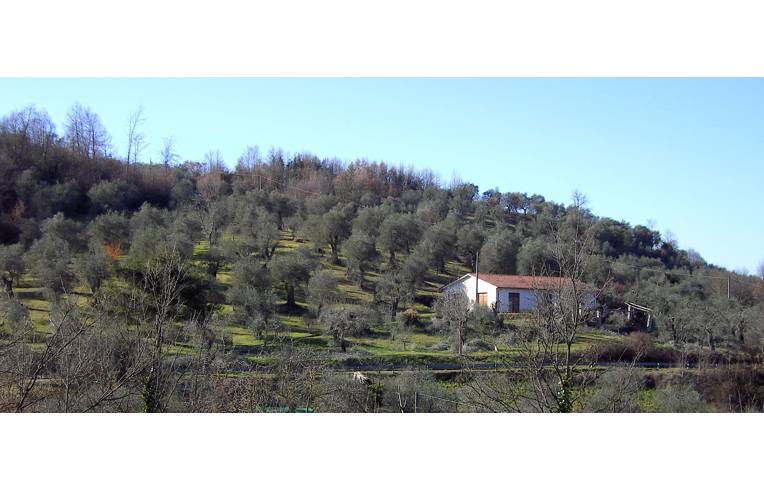 terreno agricolo in vendita ad Auletta