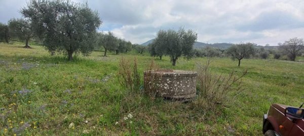 terreno agricolo in vendita ad Auletta