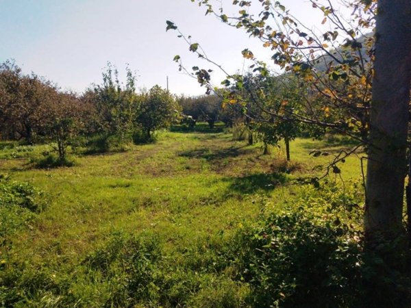 terreno agricolo in vendita a Baronissi