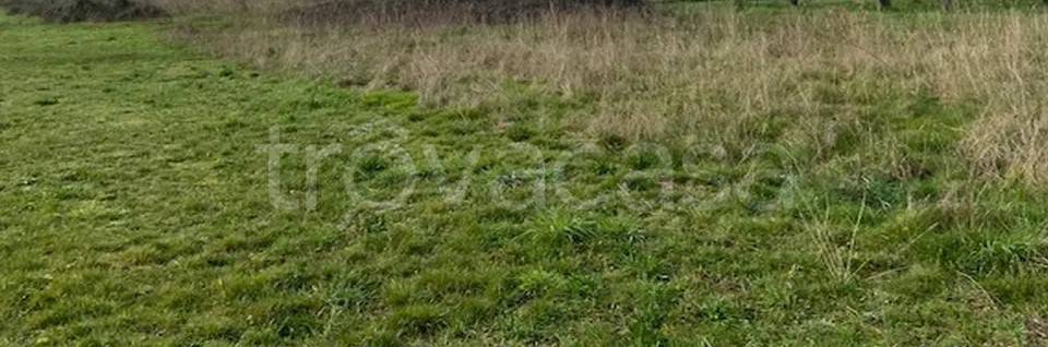 terreno agricolo in vendita a Baronissi in zona Fusara