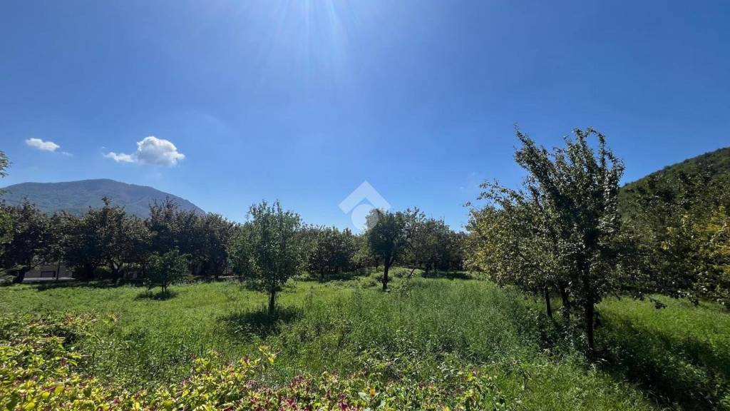 terreno agricolo in vendita a Baronissi