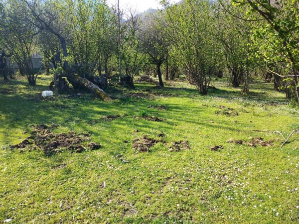casa indipendente in vendita a Baronissi in zona Caprecano