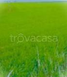 terreno agricolo in vendita a Baronissi in zona Fusara