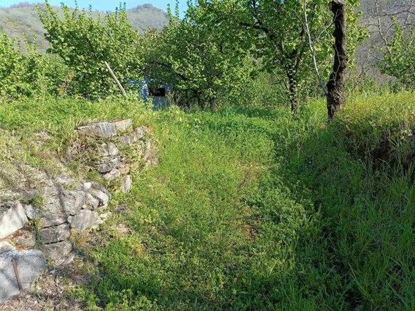 terreno agricolo in vendita a Baronissi