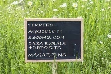 terreno agricolo in vendita a Baronissi in zona Fusara