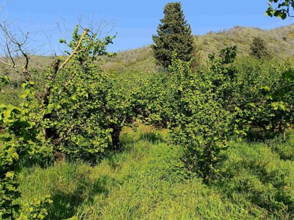 negozio in vendita a Baronissi