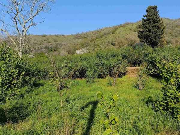 terreno agricolo in vendita a Baronissi