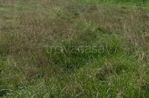 terreno agricolo in vendita a Baronissi