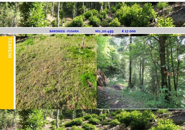 terreno in vendita a Baronissi in zona Fusara