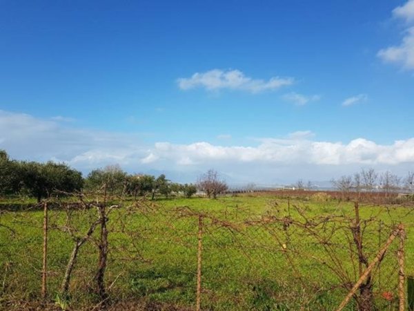 terreno agricolo in vendita a Battipaglia in zona Aversana / San Luigi
